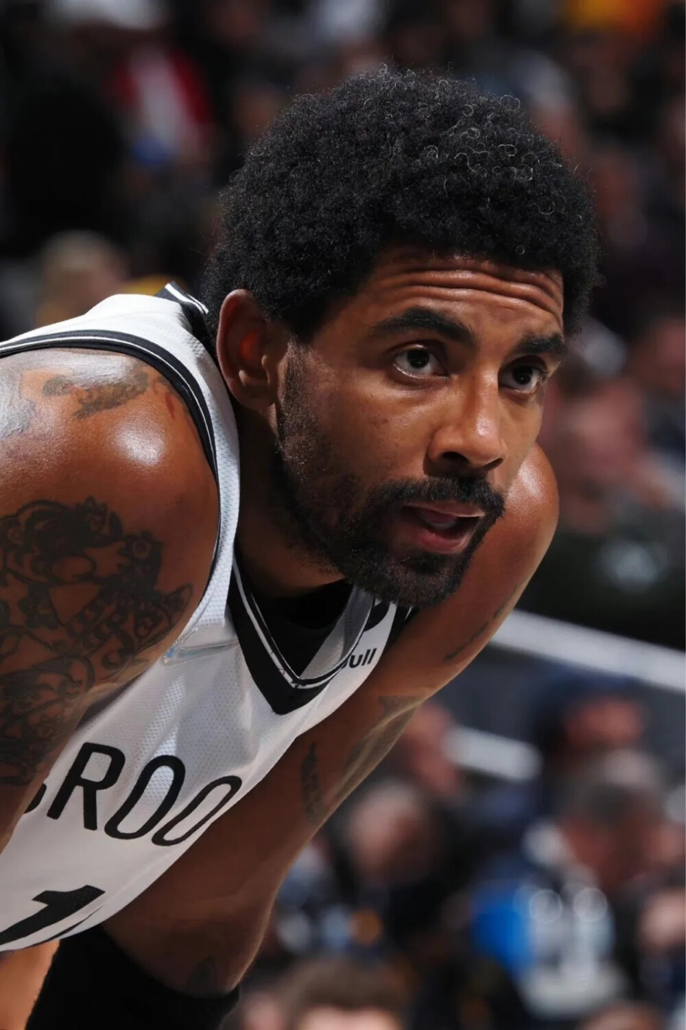 容的续约与 容的续约与